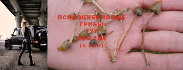 Альфа ПВП Бугульма