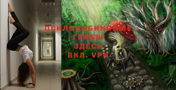 марки nbome Бородино